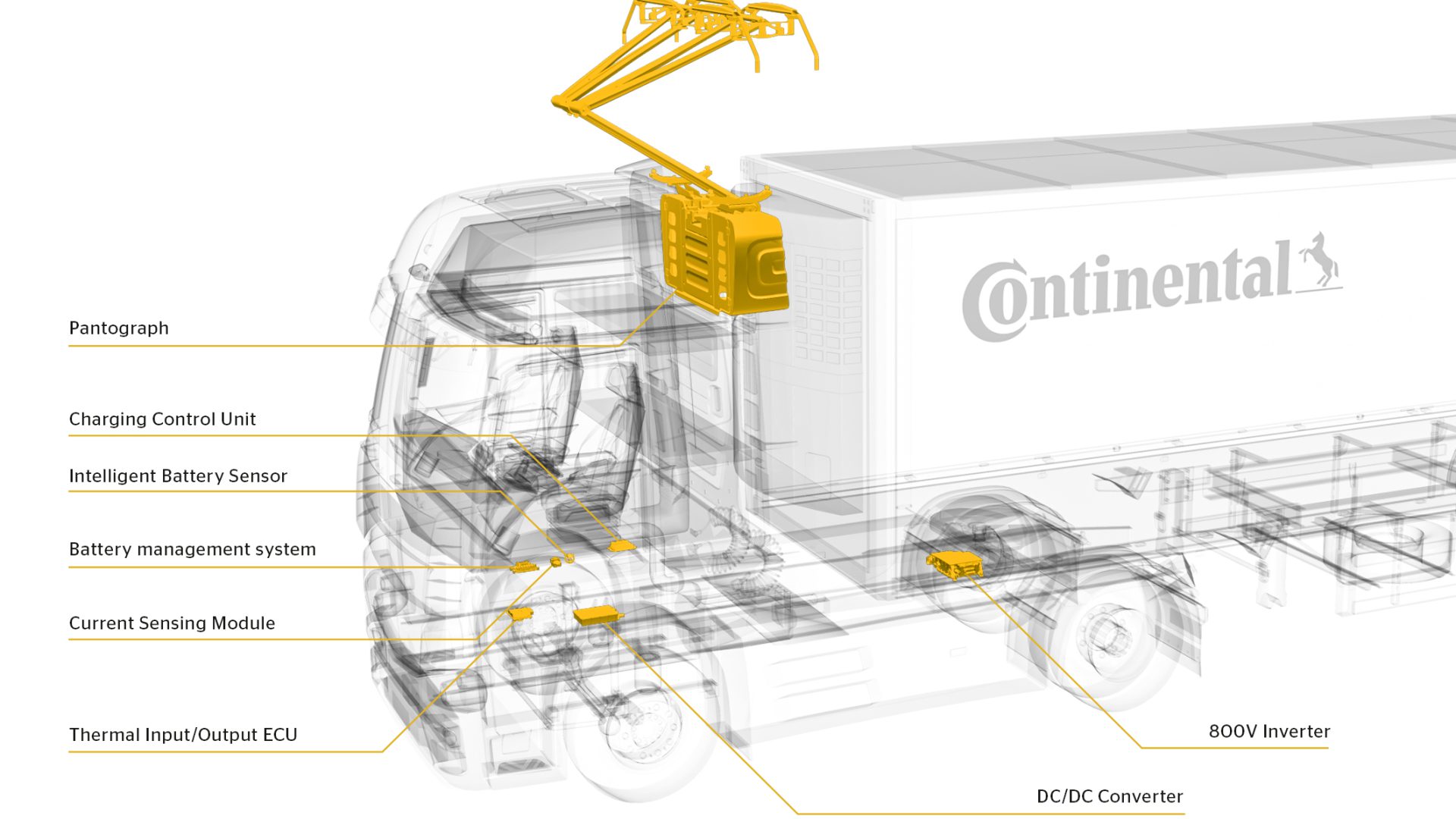 continental iaa